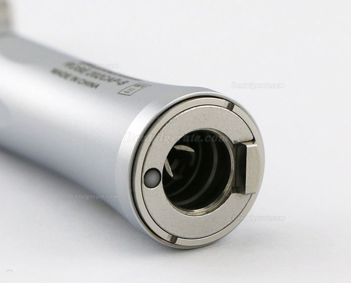 Being&reg; Rose 202-CA (PB) Faseroptisches Hand Winkelst&uuml;ck mit innerer Wassereinspritzung KAVO Kompatibel
